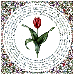 Red Tulip: Declaration of Love